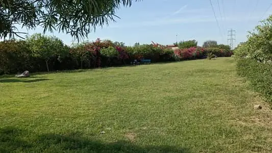SA Garden Lahore Phase 2 — inventory and unit sizes